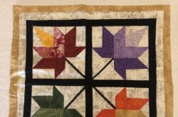 Vote!  For Your Favorite Quilt Entry!!